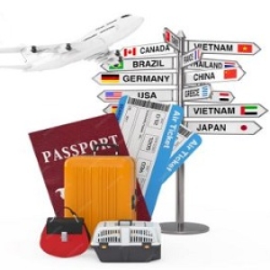 dich-vu-lam-visa-tron-goi